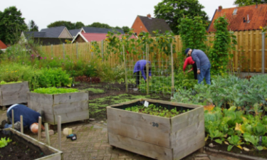 vrijwilligers aan het werk in de kruidentuin bij Plaats de Wereld